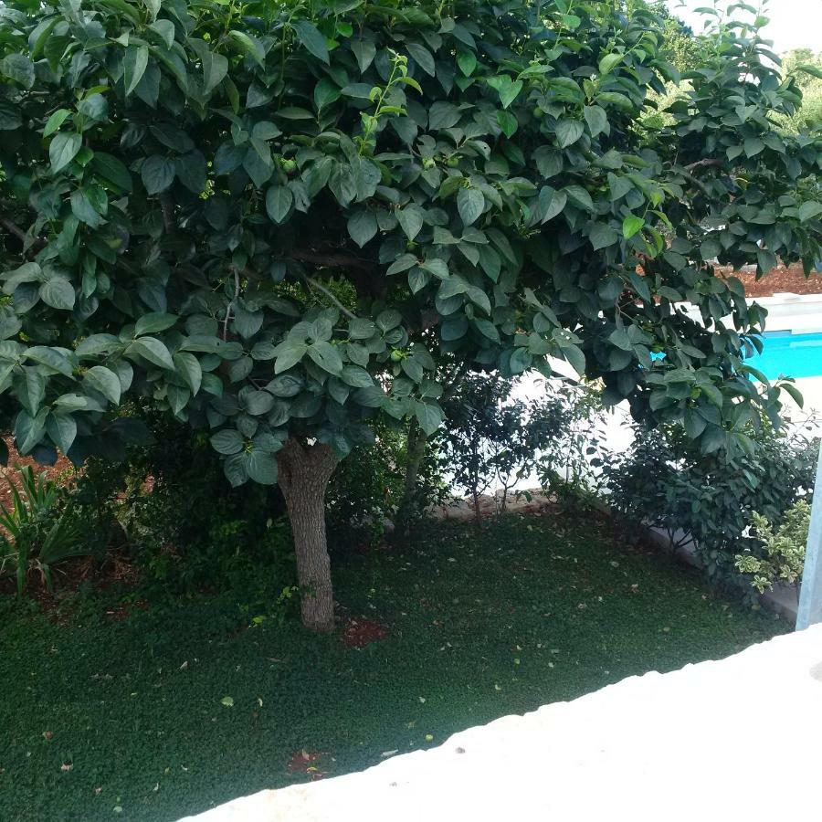 Appartamento Pignarè Locorotondo Esterno foto